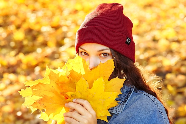 portrait of a girl in red hat with yellow maple leaves in her hands in autumn in the park closeup