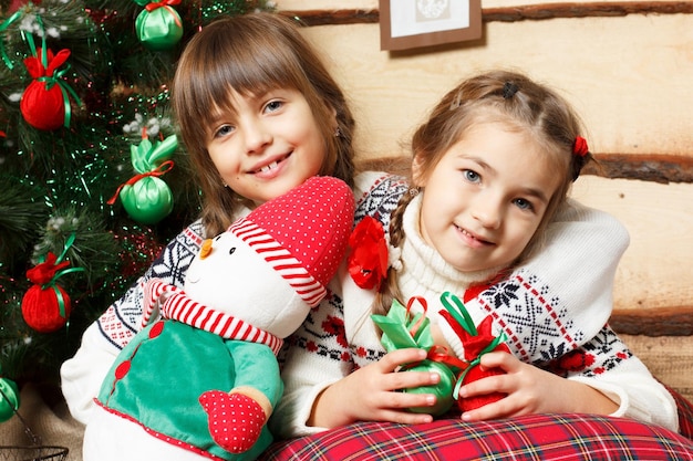 Portrait of the girl which smiles girl with fir