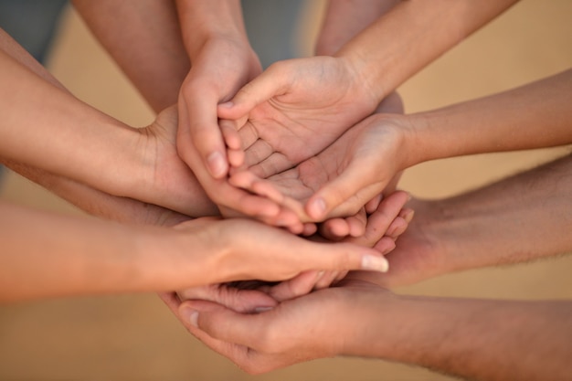 Ritratto delle mani di una famiglia insieme closeup