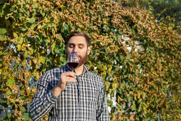 Portrait of handsome wine maker holding in his hand a glass of red wine and tasting it, checking wine quality while standing in vineyards. Small business, Homemade wine making concept.