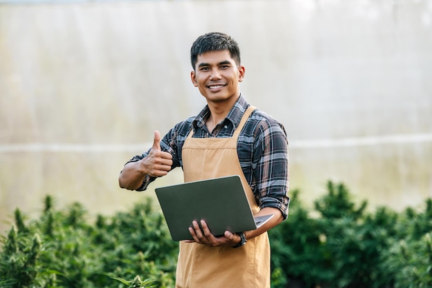 Portrait of happy asian man marijuana researcher smiling and showing thumb up in cannabis farm business agricultural cannabis cannabis business and alternative medicine concept