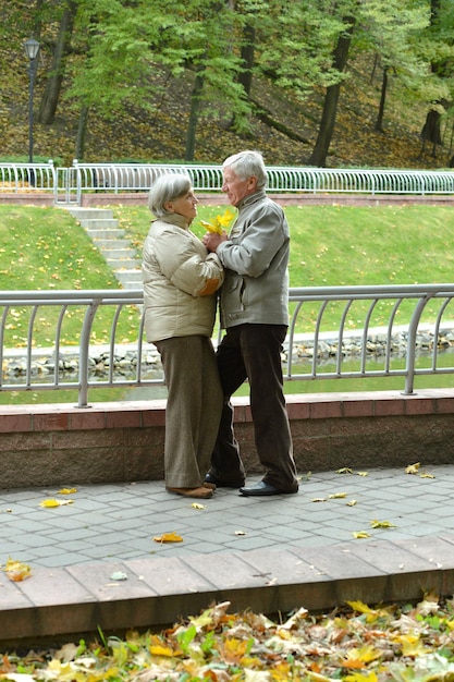 Portrait of happy beautiful senior couple hugging in autumn park