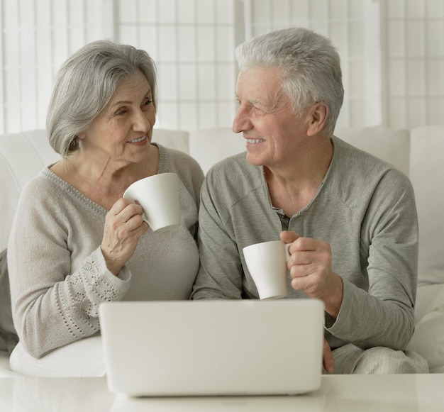 portrait of happy beautiful senior couple using laptop at home