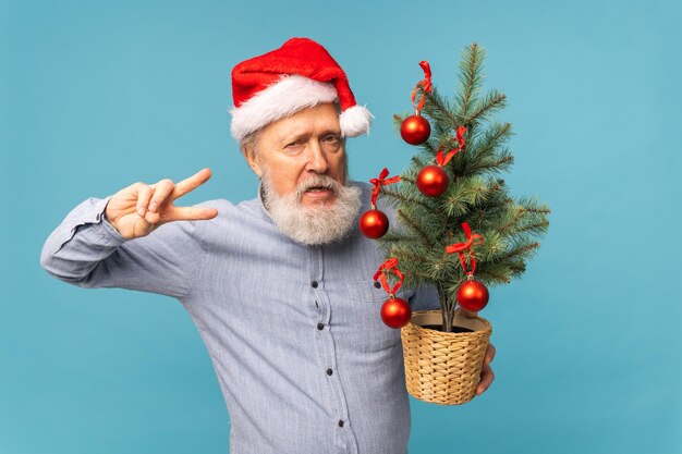 Portrait of happy crazy emotions Santa Claus excited looking at camera and holds small christmas tree on blue background