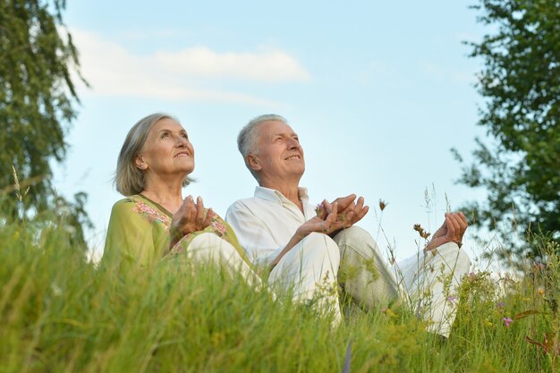 夏の自然の幸せな老夫婦の肖像画