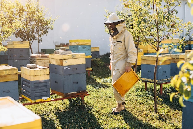 蜂と蜂の巣の近くの養蜂場で働く幸せな男性養蜂家の肖像画 養蜂場の養蜂家の蜂蜜を集める