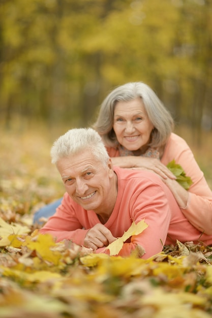 Portrait of a happy Mature couple in autumn park