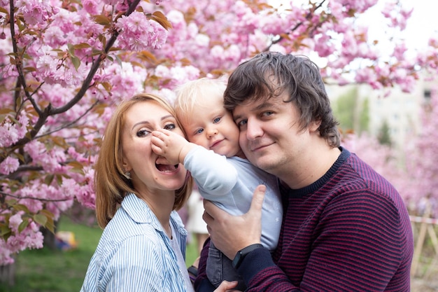 Portrait of happy parents with their son in the spring near the Japanese cherry sakura meet spring Sakura very beautifully blooms with pink flowers