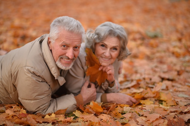 秋の公園で幸せな年配のカップルの肖像画