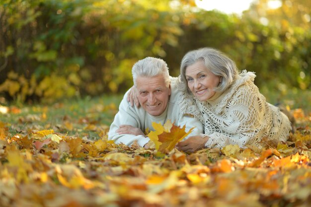 Portrait of a happy senior couple in autumn park