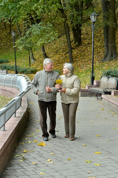 Portrait of happy senior couple in autumn park