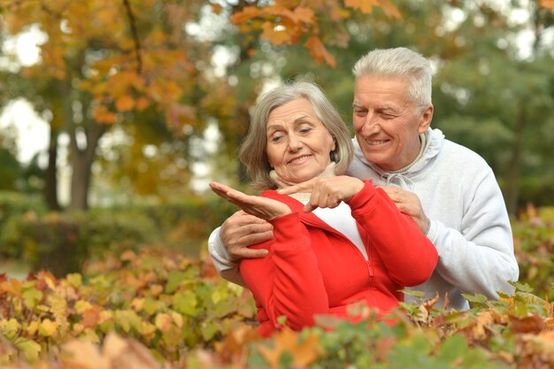 Portrait of a happy senior couple in autumn park