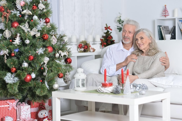 Portrait of a happy senior couple celebrating Christmas