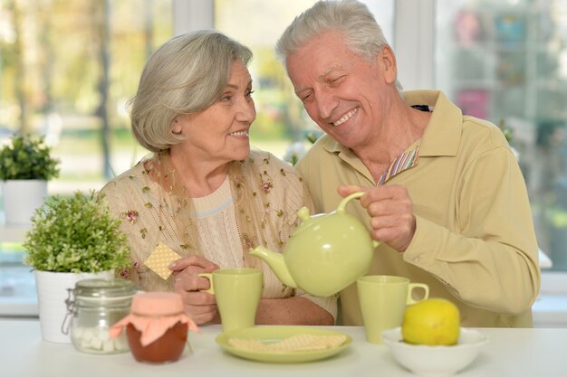 Portrait of a happy senior couple drinking tea