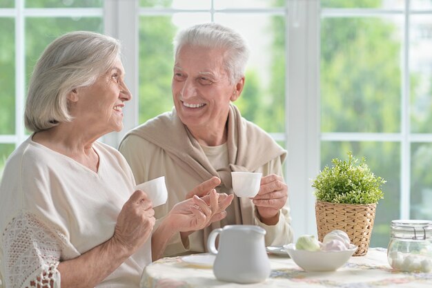 Portrait of a happy senior couple drinking tea