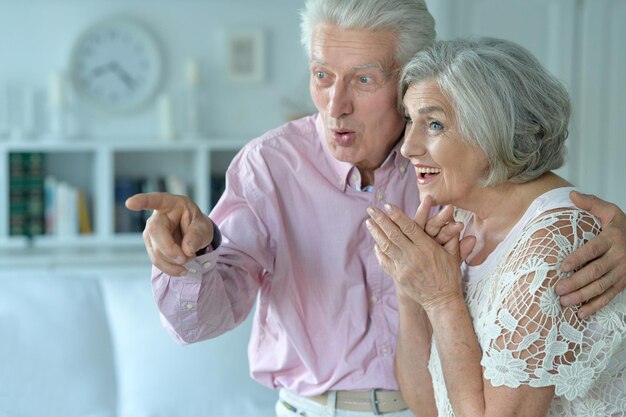 Portrait of a happy senior couple indoors