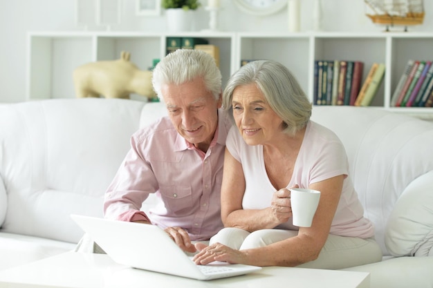 Portrait of happy senior couple using laptop