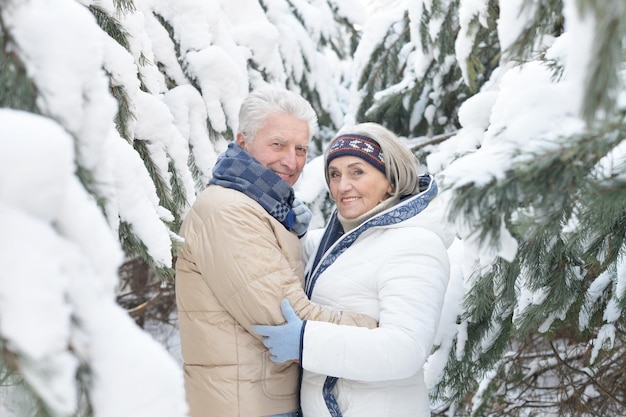 Portrait of happy senior couple at winter outdoors