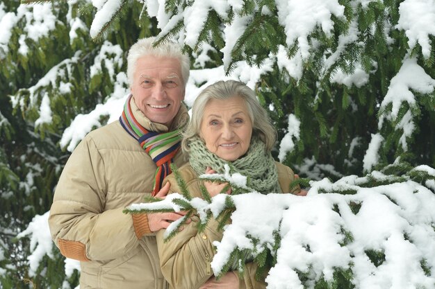 Portrait of a happy senior couple at winter outdoors