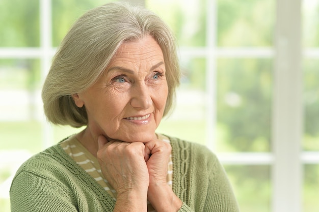 Ritratto di una donna anziana felice a casa