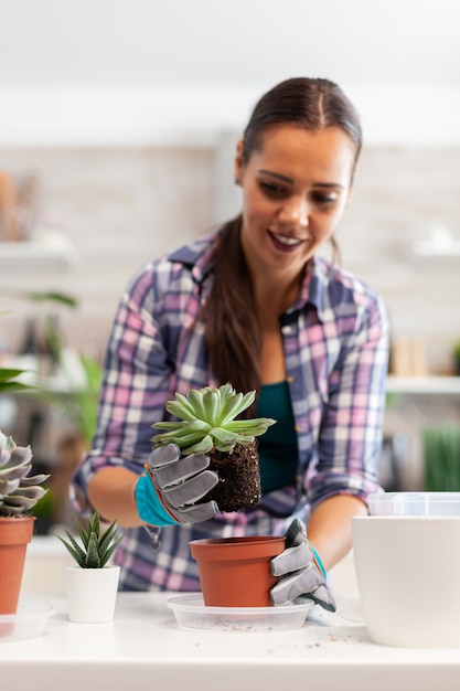 Ritratto di donna felice che tiene pianta succulenta seduta sul tavolo in cucina. donna che ripianta fiori in vaso di ceramica usando pala, guanti, terreno fertile e fiori per la decorazione della casa.