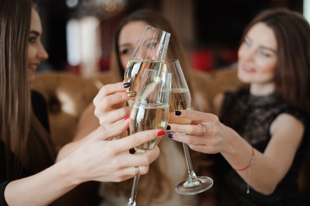 Portrait of happy young friends touching the glasses with each other