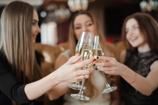 Portrait of happy young friends touching the glasses with each other.