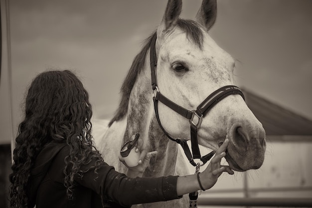 Foto ritratto di cavallo