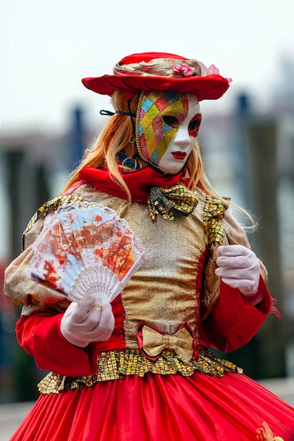 Portrait of an Incognito man in a carnival costume