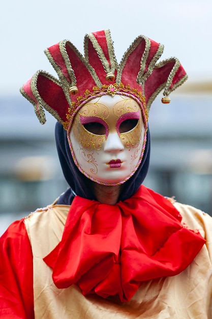 Portrait of an Incognito man in a carnival costume