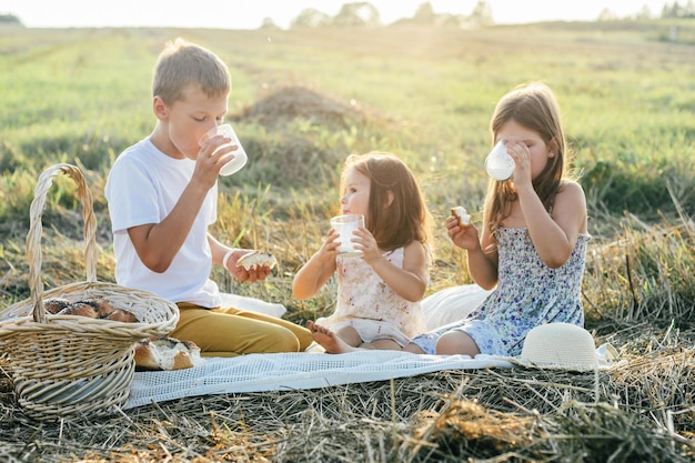 Portrait of joyful boy and two girls sitting on blanket in field, having picnic, drinking milk and eating bread. Relaxing time. Talking and stare into the distance. Light sunny day. Horizon