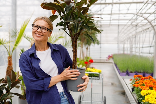 Portrait of joyful woman holding ficus plant in greenhouse