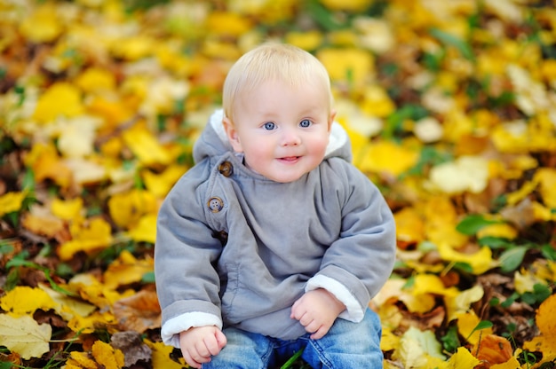 Portrait of little baby boy in the autumn park