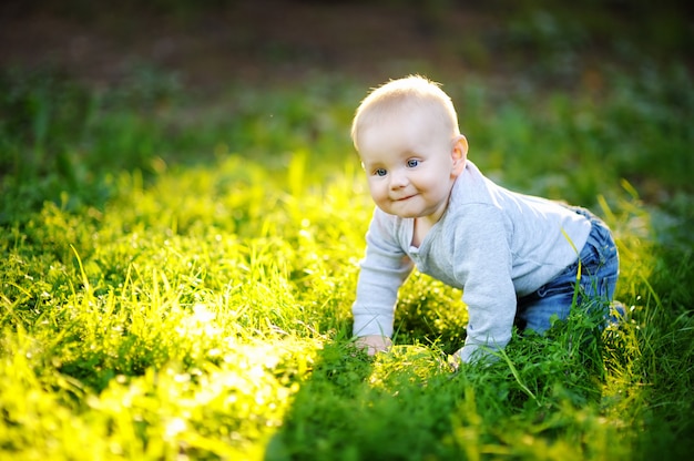 Portrait of little baby boy at the sunny park 