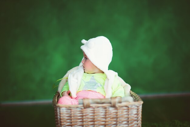 Portrait of little newborn baby lying in the basket