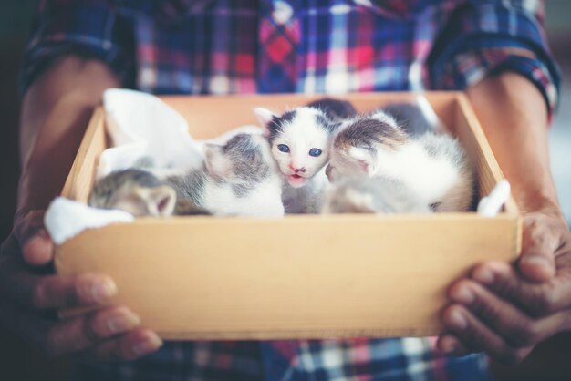 Photo portrait of man holding cat at home