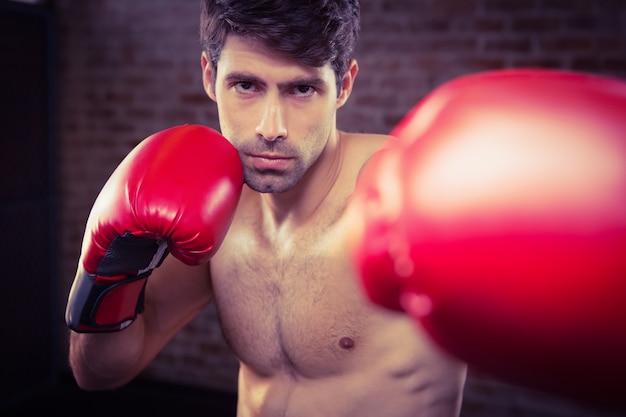 Portrait of a man wearing boxing gloves