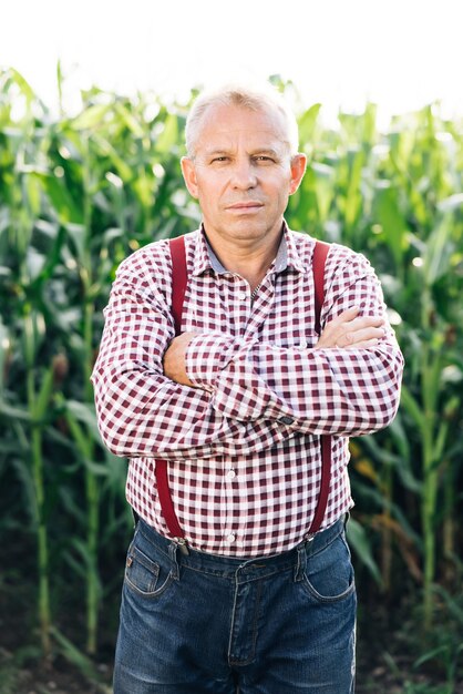 Portrait of man with crossing hands in the casual shirt in the farm on corn field background