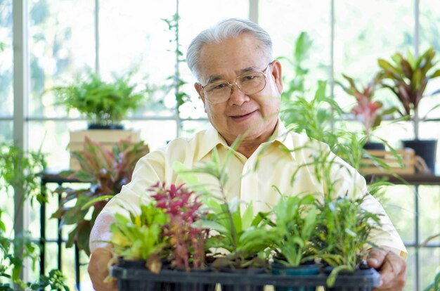 Photo portrait of man with potted plants