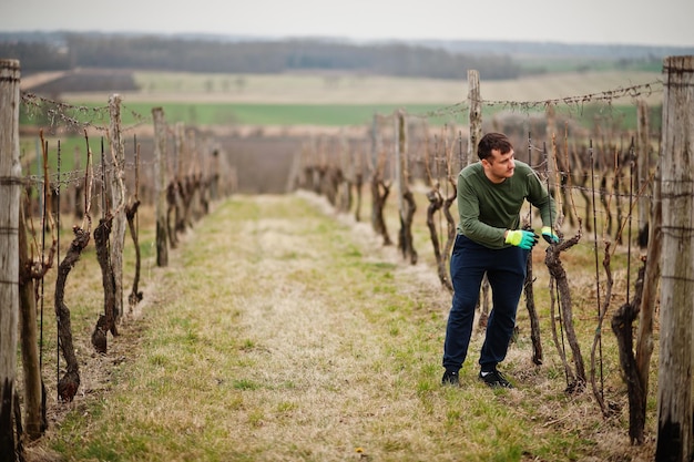 Portrait of man working on vineyard