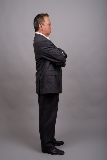 Portrait of mature Asian businessman against gray background