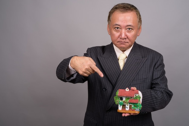 Portrait of mature Asian businessman against gray wall