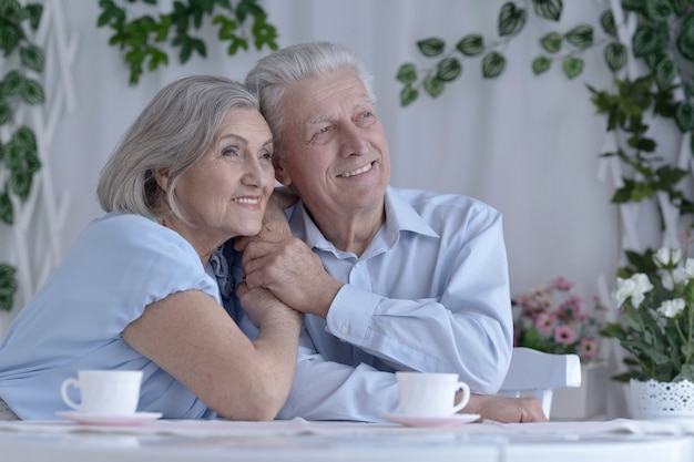 Portrait of a mature couple drinking tea