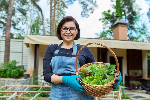 Portrait of mature female gardener farmer in an apron with basket harvesting greens