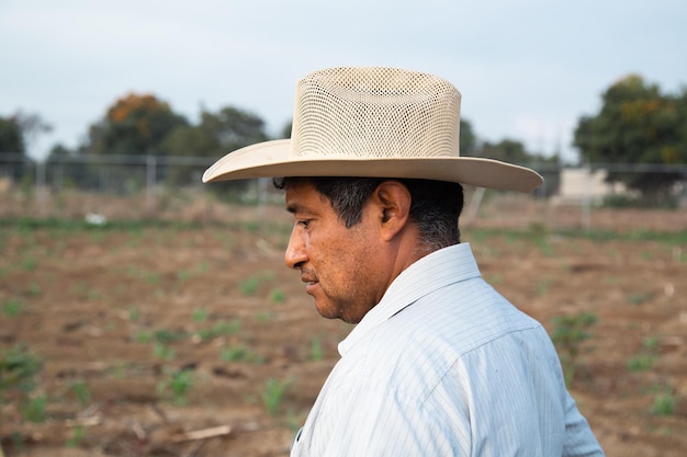 伝統に従って豆を栽培するメキシコの農家の肖像