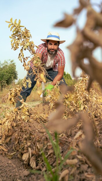 Portrait of a modern bearded farmer man with potatoes on hands
looking at camera