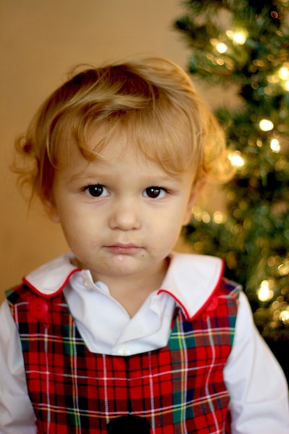 写真 クリスマスツリーに照らされた可愛い男の子の肖像画