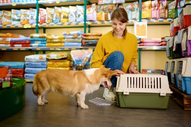 写真 ペット ショップの屋内インテリア上のかわいいコーギー犬の肖像画彼女の美しい動物のキャリアを選択する女性子犬飼い主