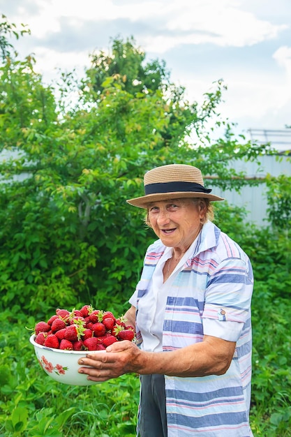 写真 農場で食べ物を持った高齢女性の肖像画