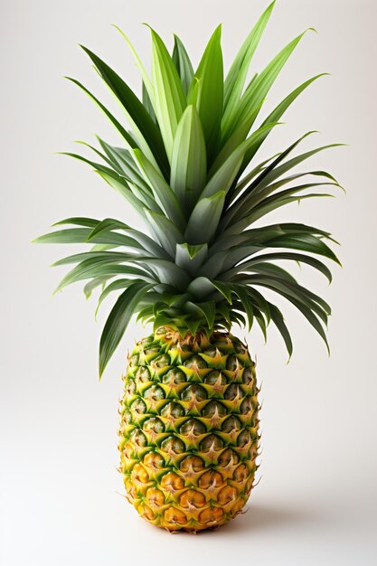 Portrait of pineapple Ideal for your designs banners or advertising graphics